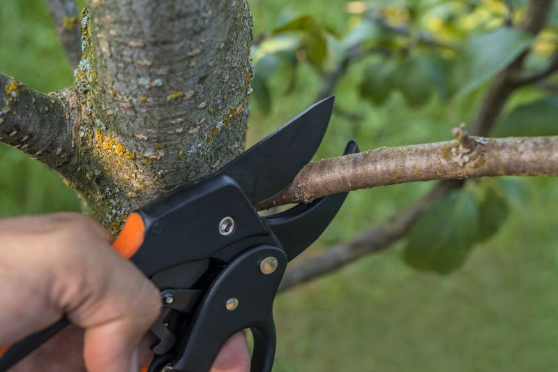 Selective Pruning