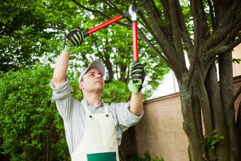 Customized shrub care plans